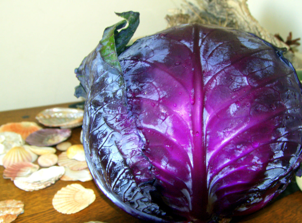 Easy German Cabbage recipe